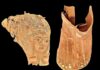 Arqueólogos descubren tumba de la época romana y objetos de oro en Egipto Arqueólogos descubren tumba de la época romana y objetos de oro en Egipto