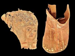 Arqueólogos descubren tumba de la época romana y objetos de oro en Egipto