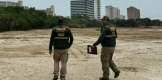 Minec evalúa daños ecológicos