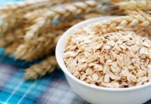 Avena: Pilar fundamental de la nutrición preventiva y el bienestar digestivo