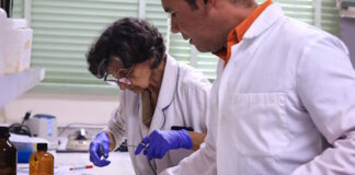 registro de investigadores
