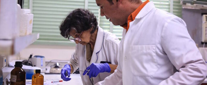 registro de investigadores