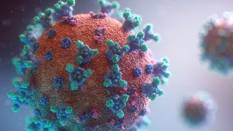 Reportan el primer caso humano de la gripe aviar H9N2 en Europa