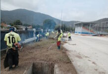 Campo los criollitas