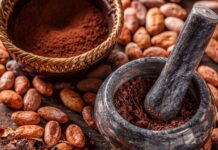 Plan Comunal del Cacao impulsará la industrialización soberana del rubro