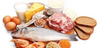 ¿Cuánta proteína necesita el cuerpo al día?