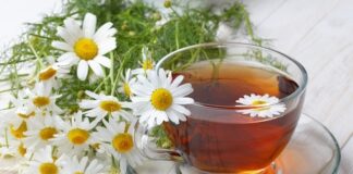 manzanilla-beneficios-dermatologicos