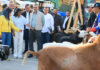 Presidenta Encargada inauguró IV Expoferia Nacional 2026 Bufalina, Caprina y Ovina presidenta-inauguro-expoferia