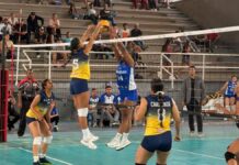 Semifinal de la Liga de Voliebol Femenina inicia este fin de semana liga-de-voliebol-femenina