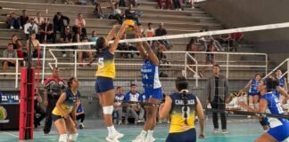 liga-de-voliebol-femenina