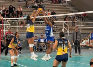 liga-de-voliebol-femenina