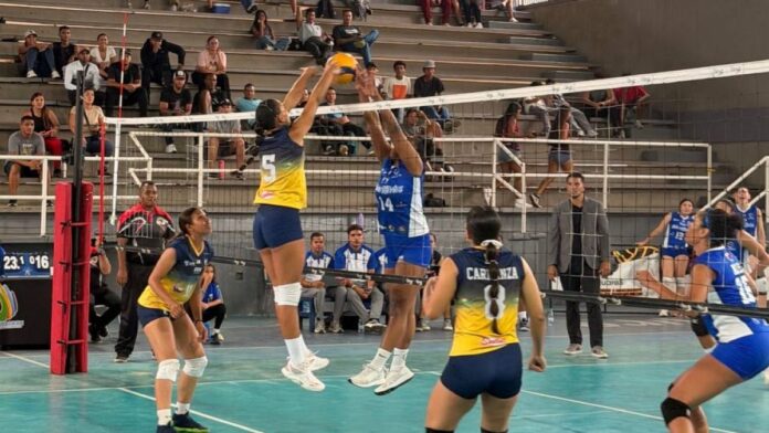 liga-de-voliebol-femenina liga-de-voliebol-femenina