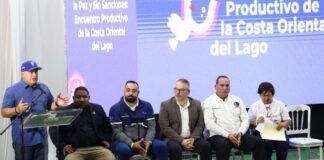 incorporación megavatios