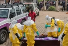 OMS reporta más de 900 casos sospechosos de ébola más de 900 casos sospechosos de ébola