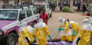 OMS reporta más de 900 casos sospechosos de ébola más de 900 casos sospechosos de ébola