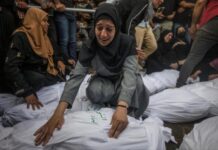 Palestina: Más de 2.500 las familias víctimas de exterminio por Israel