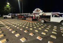 GNB desmantela red de narcotráfico en Táchira con incautación de 450 panelas de droga