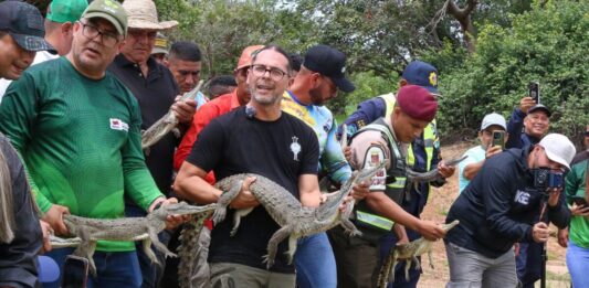 Ministerio de Ecosocialismo liberó 129 caimanes del Orinoco