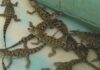 ZooAquarium