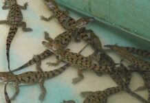 ZooAquarium