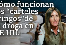 Carteles gringos