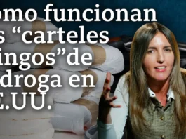 Carteles gringos
