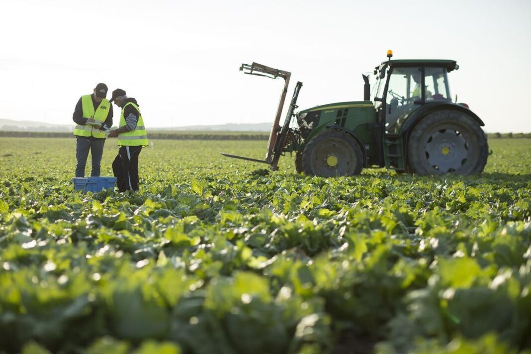 Crisis en el estrecho de Ormuz impactará la producción global de alimentos