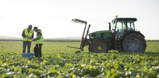 Crisis en el estrecho de Ormuz impactará la producción global de alimentos