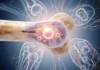 ¿Sabías que es posible regenerar extremidades: hueso, tendones y ligamentos? regenerar extremidades
