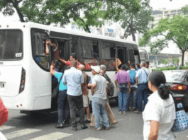 CASCABEL – BUCARES – LARA – BRANGER | Arnaldo Jiménez CARABOBO-Branger-Cascabel