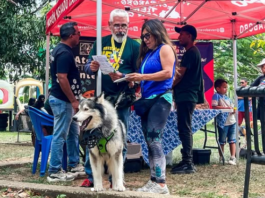 Jornada Veterinaria Integral