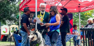 Jornada Veterinaria Integral