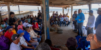 Evalúan plan de captura y comercialización de la sardina en la Isla de Coche