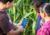 FAO instó a poner la IA al servicio de las comunidades rurales FAO