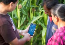 FAO instó a poner la IA al servicio de las comunidades rurales FAO