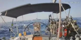 fuerzas navales