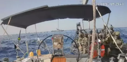 fuerzas navales