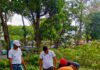 Brigada Ambientalista de La Guacamaya recibe plantas para reforestar