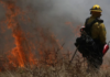 Incendios forestales