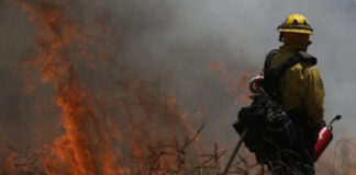 Incendios forestales