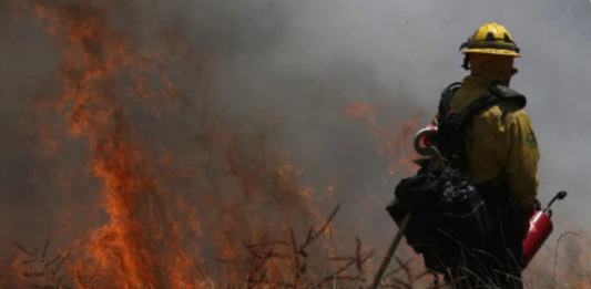 Incendios forestales