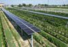 Crece en Italia cobertura de consumo eléctrico con fuentes renovables Italia