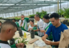 Estudiantes de Apure fortalecen la formación científica en el rubro del cacao Cacao