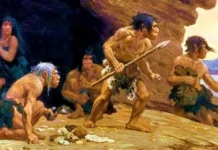 Neandertales recolectaban mariscos con las mismas estrategias que los humanos modernos Neandertales