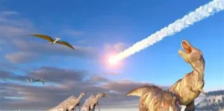 Los dinosaurios