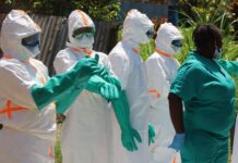 OMS pidió alto al fuego para combatir brote de ébola en el Congo OMS pidió alto al fuego para combatir brote de ébola en el Congo