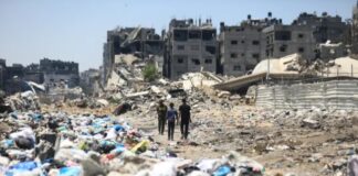Propagación de roedores agrava la crisis sanitaria en Gaza