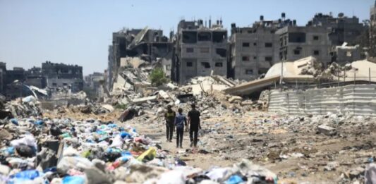Propagación de roedores agrava la crisis sanitaria en Gaza
