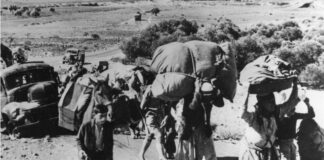 El pueblo palestino conmemora el 78º aniversario de la "catástrofe"
