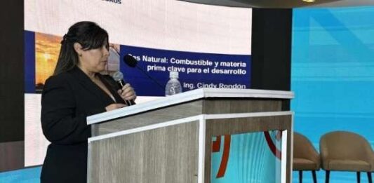 Viceministra-de-Gas-Cindy-Rondon